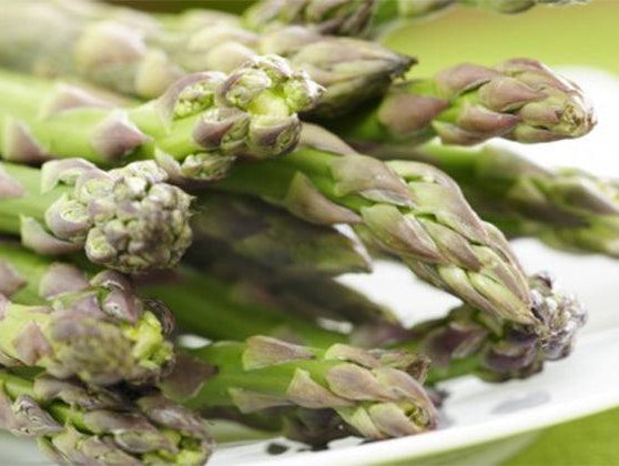 Asparagus: Nature & Medicine - Alkaline World