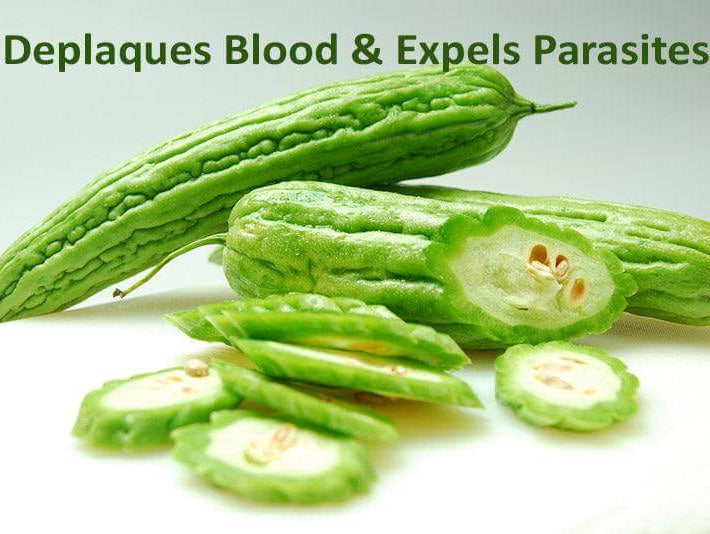 Bitter Melon - Alkaline World