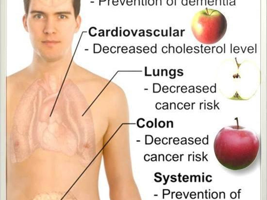 The health benefits of apples - Alkaline World