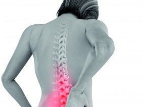 Wholefood Medicine for Osteoporosis - Alkaline World