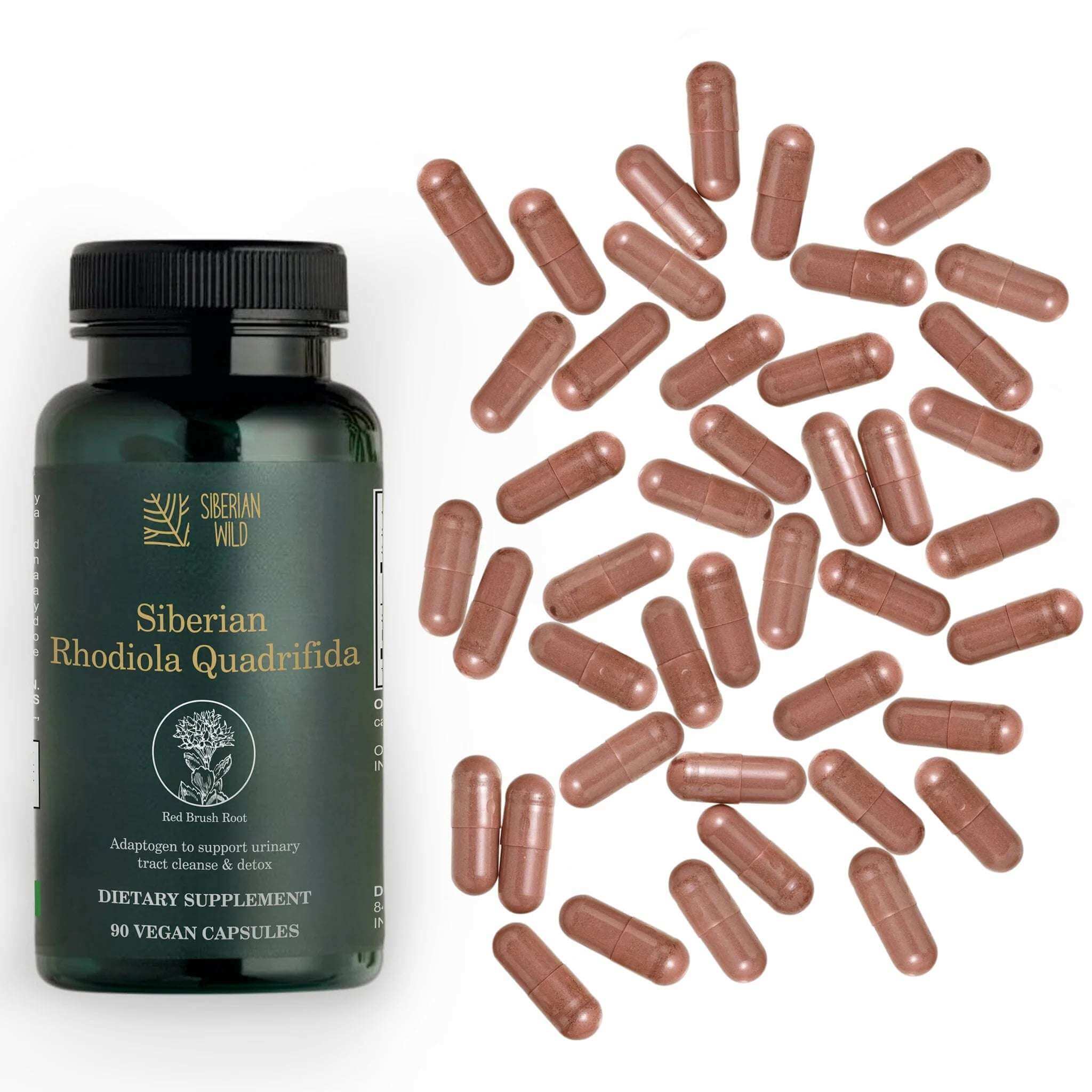 Siberian Wild Rhodiola Quadrifida Capsules – 350 mg – 90 Vegan Capsules