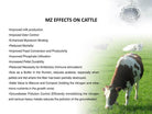 Equine Zeolite 500g - Alkaline World
