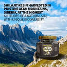 Natural 100% Siberian Shilajit Altai Pure Resin 100g - Alkaline World