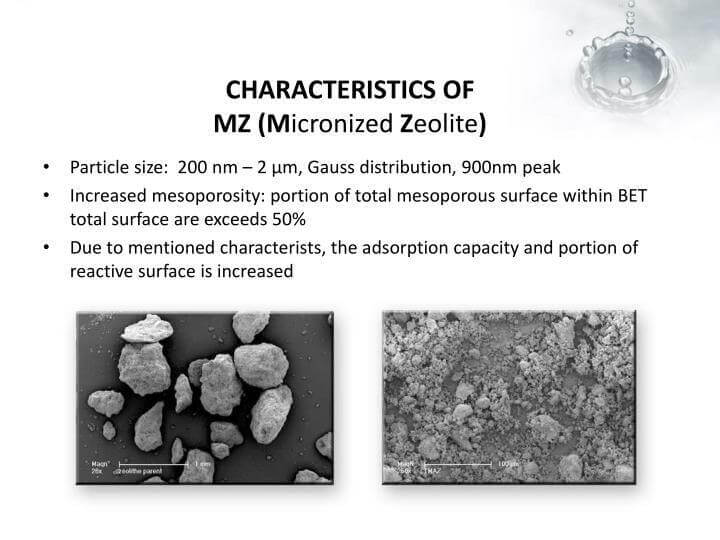 Equine Zeolite 500g - Alkaline World