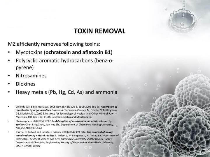 Equine Zeolite 500g - Alkaline World