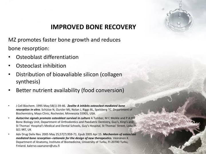 Equine Zeolite 500g - Alkaline World