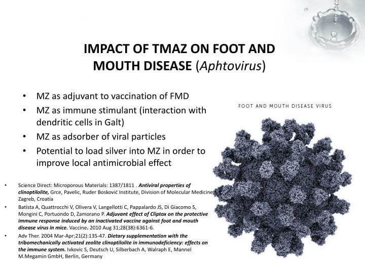 Equine Zeolite 500g - Alkaline World