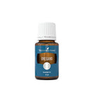 Oregano Essential Oil 15ml - Alkaline World