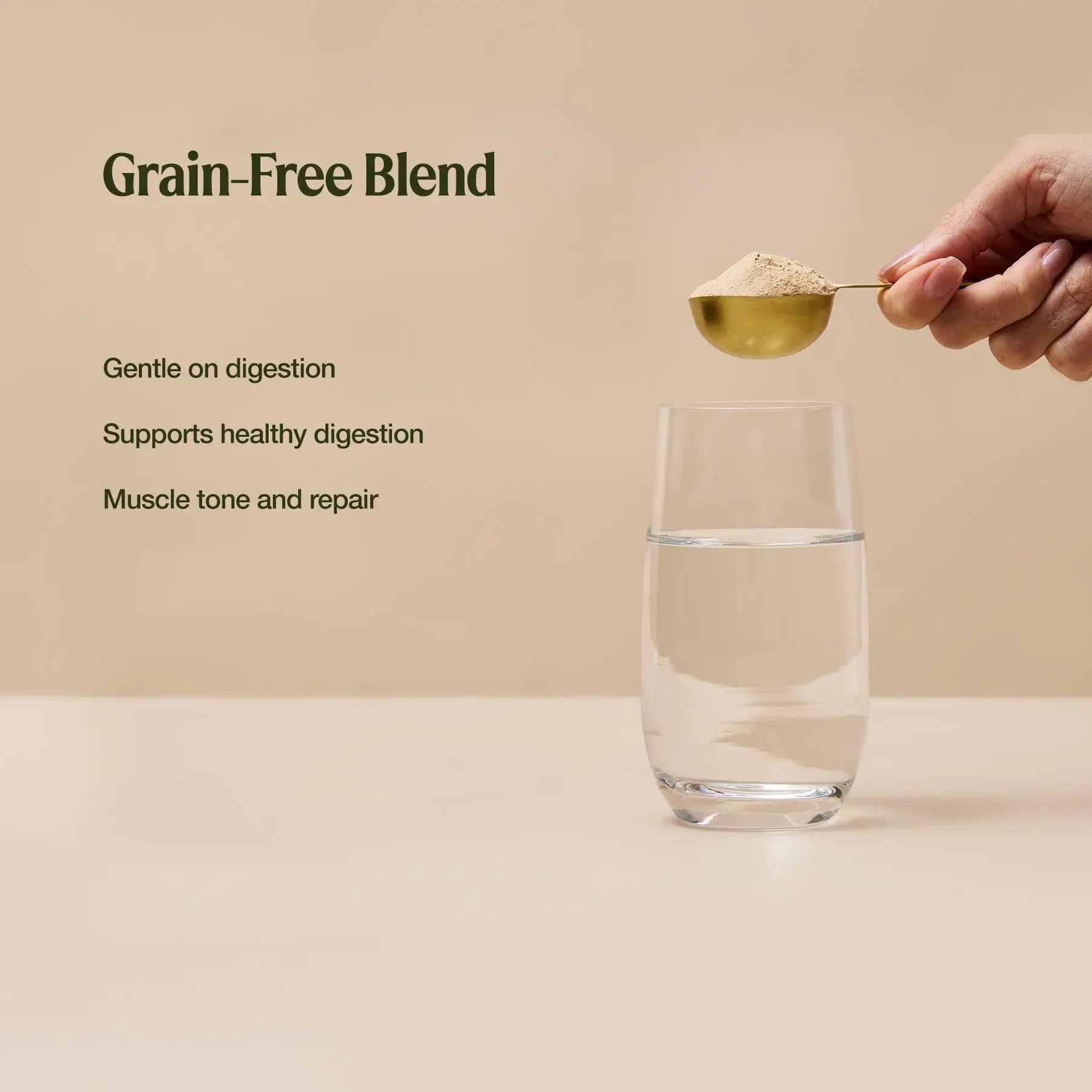 Amazonia Raw Protein Organic Paleo Gentle Digest Chocolate 1kg - Alkaline World