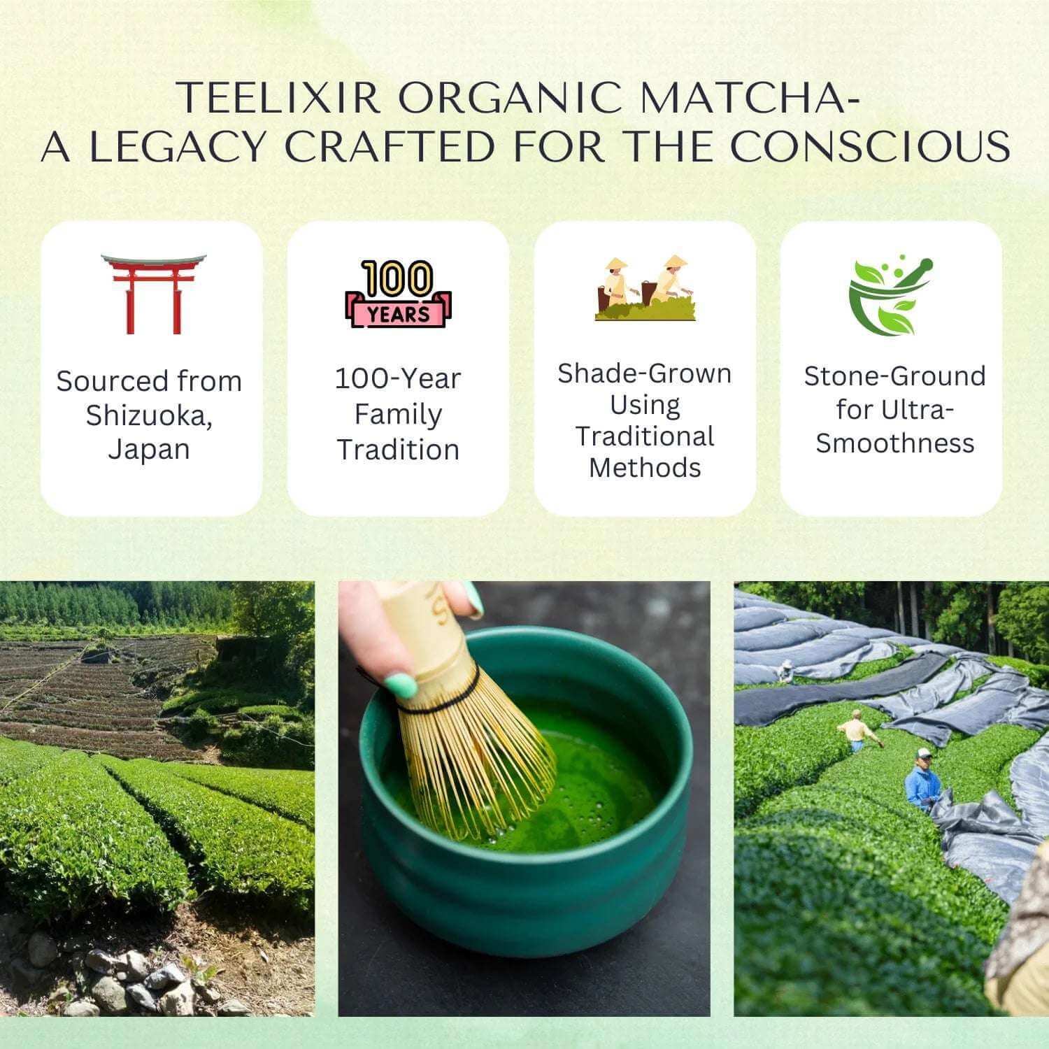 TEELIXIR ORGANIC MATCHA 100G - Alkaline World
