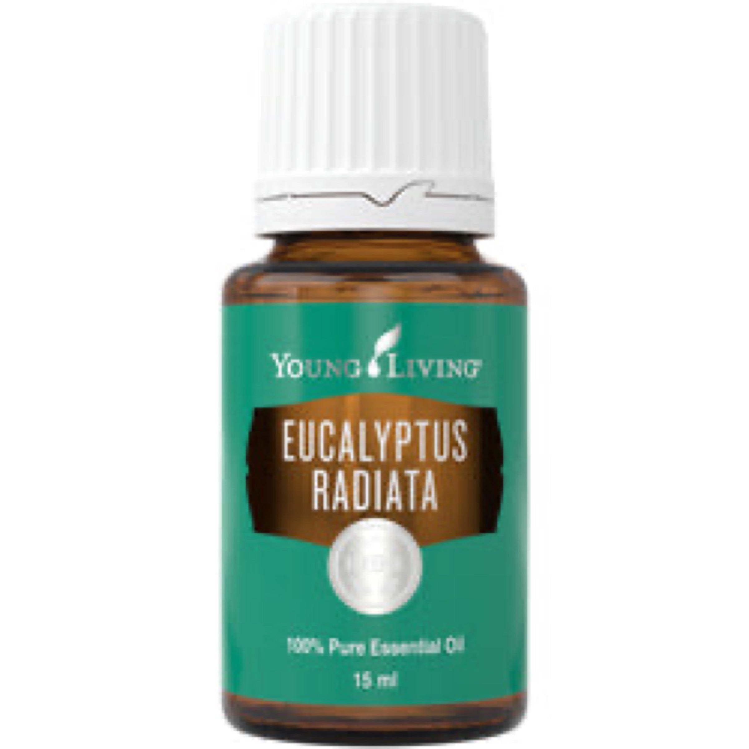 Eucalyptus Radiata Essential Oil 15ml