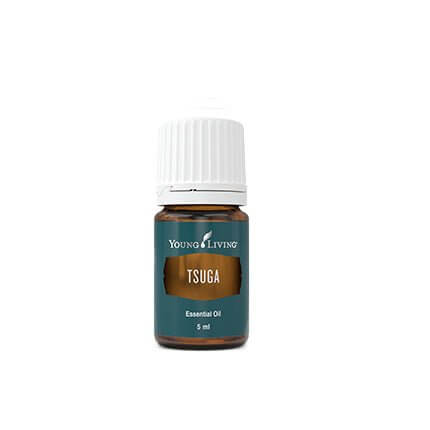 Young Living Tsuga essential oil 5ml bottle with label, showcasing the natural product in a clear glass container.