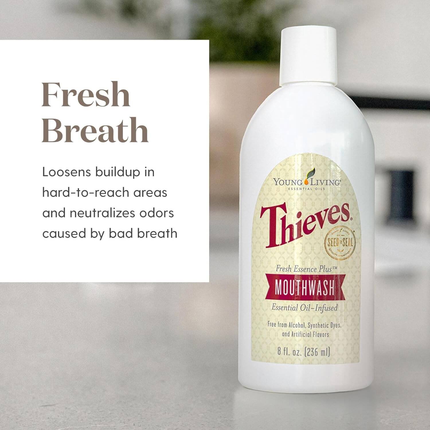 Young Living Mouthwash - Thieves Fresh Essence - Alkaline World