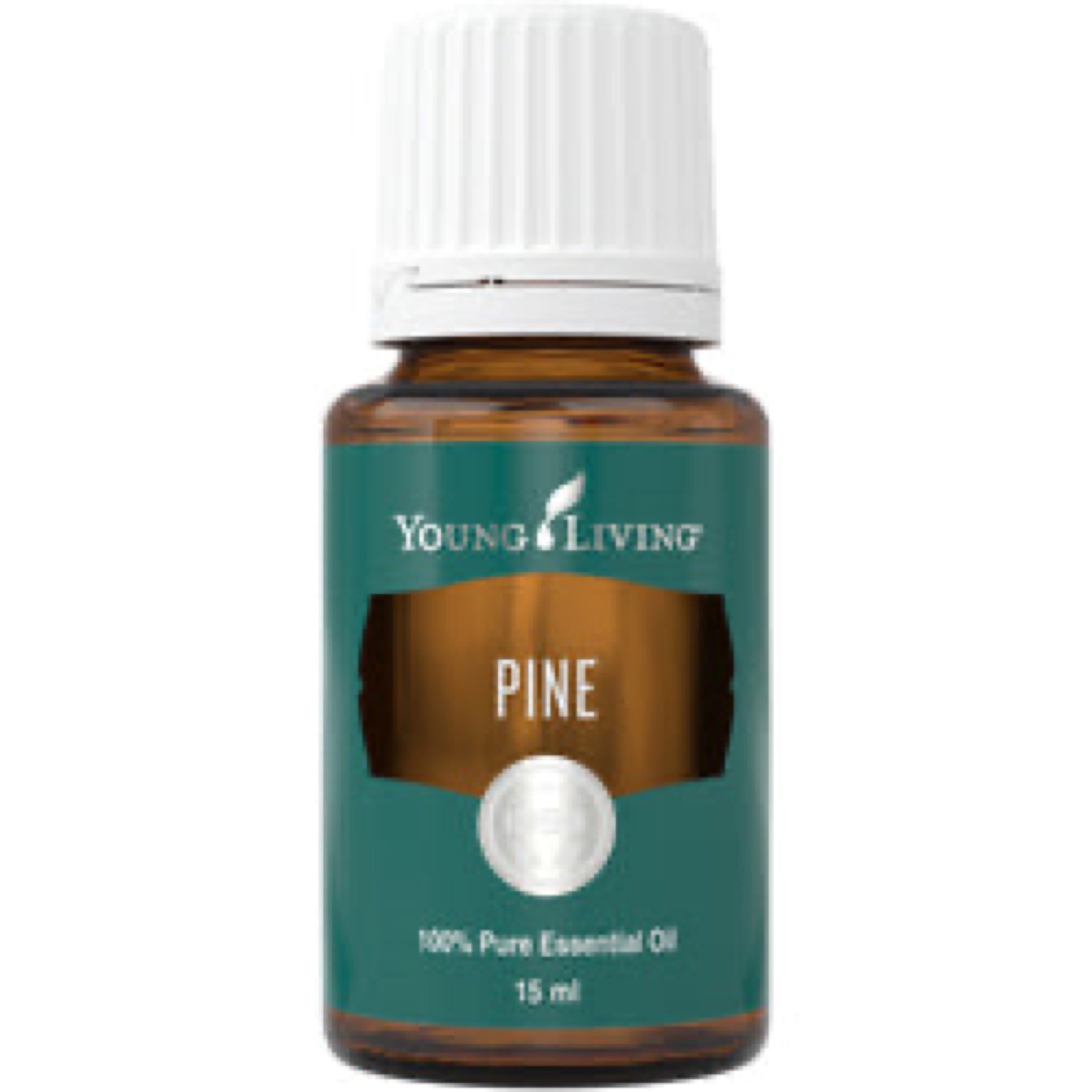 Young Living Pine Essential Oil 15ml