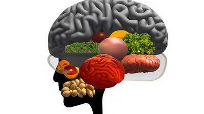7 Foods for your brain - Alkaline World