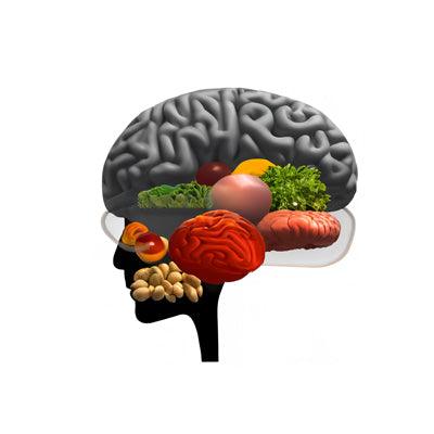 7 Foods for your brain - Alkaline World