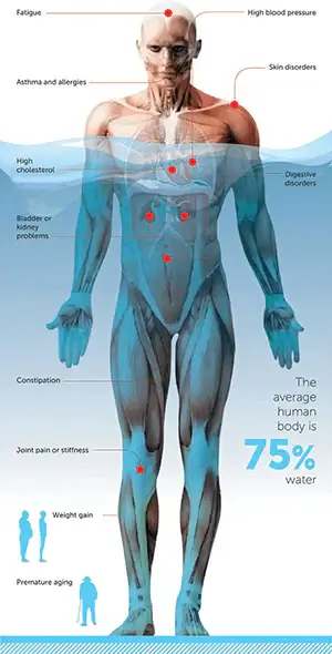 The 7 Principles of Health - #2 Water - Alkaline World