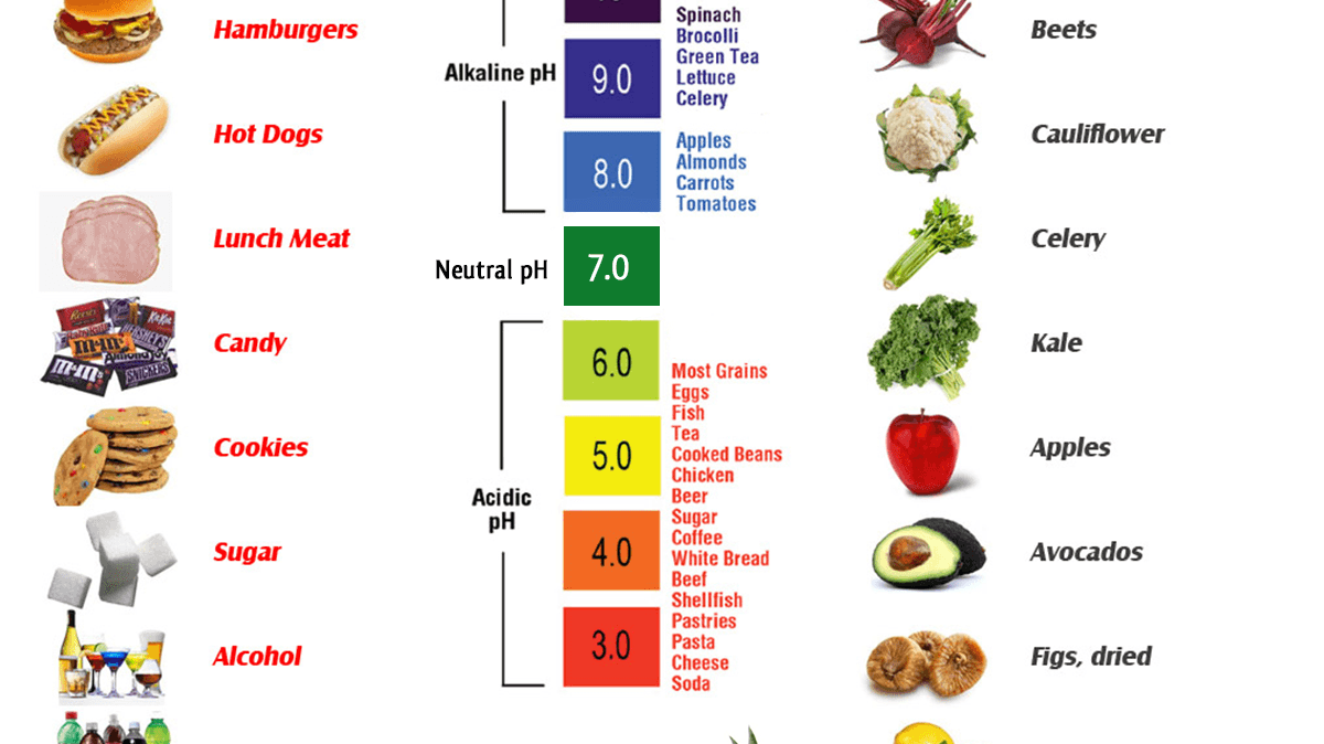 Alkaline Food Chart - Alkaline World