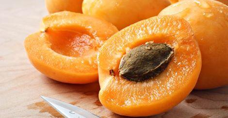 Apricot Seeds Kill Cancer Cells without Side Effects - Alkaline World