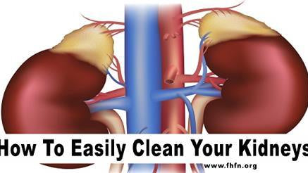 How To Easily Clean Your Kidneys - Alkaline World