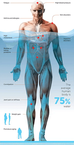 The 7 Principles of Health - #2 Water - Alkaline World