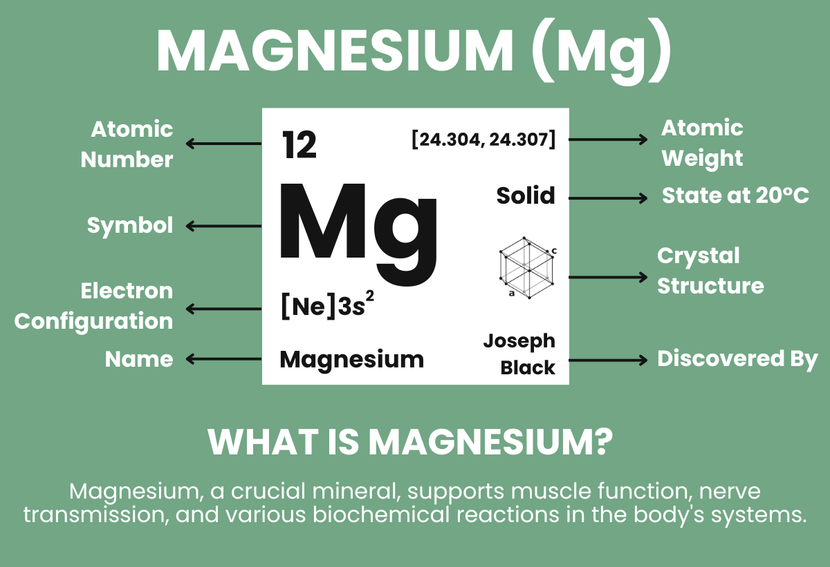 The Top 10 Magnesium Types You Need to Know About - Alkaline World