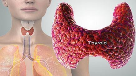 These Are The Symptoms Of Thyroid Malfunction and How To Cure It Naturally - Alkaline World