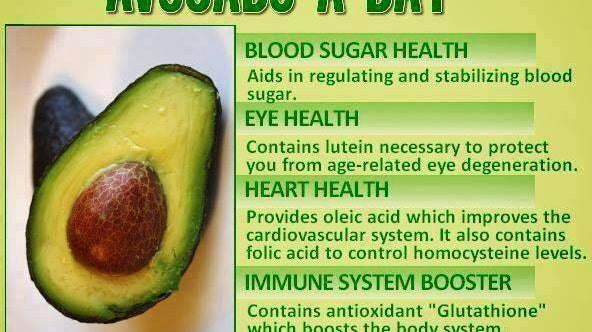 Why you must eat one avocado a day - Alkaline World