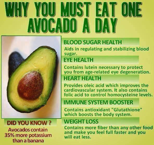 Why you must eat one avocado a day - Alkaline World