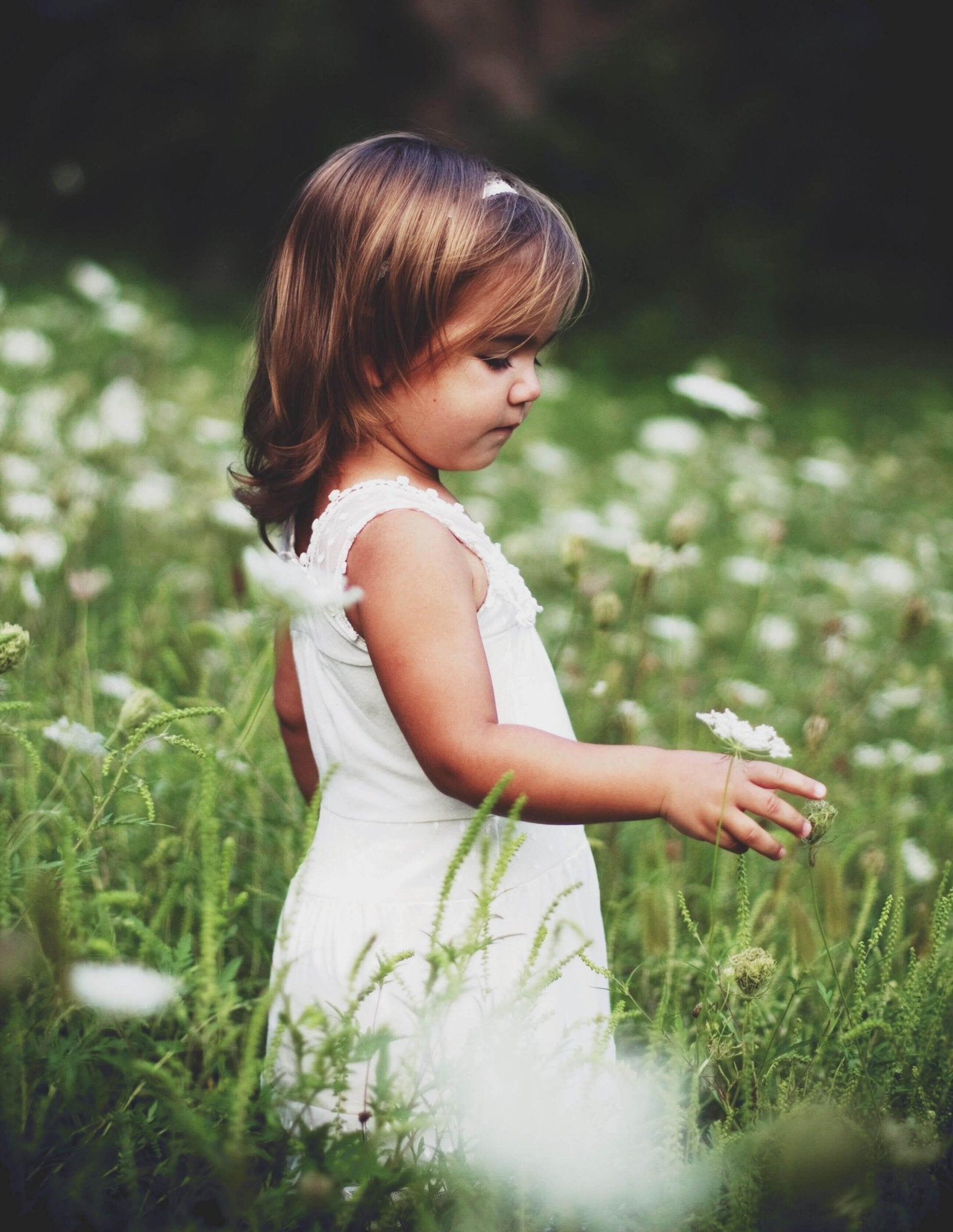 Self Care - Alkaline World