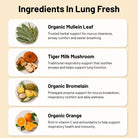 Vesuvio Lung Detox Fresh Blend 200g herbal supplement with dried herbs and natural ingredients for lung cleansing and detox.