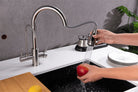 3 Way Mixer Tap with Dual Spout & Pull Out Spray Nickel - Alkaline World