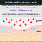 Terahertz Wand Pro Blame - Alkaline World