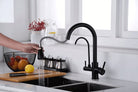 Black Aquarius Water 3-way mixer tap with dual spouts and pull-out spray, designed for versatile kitchen or bathroom use.