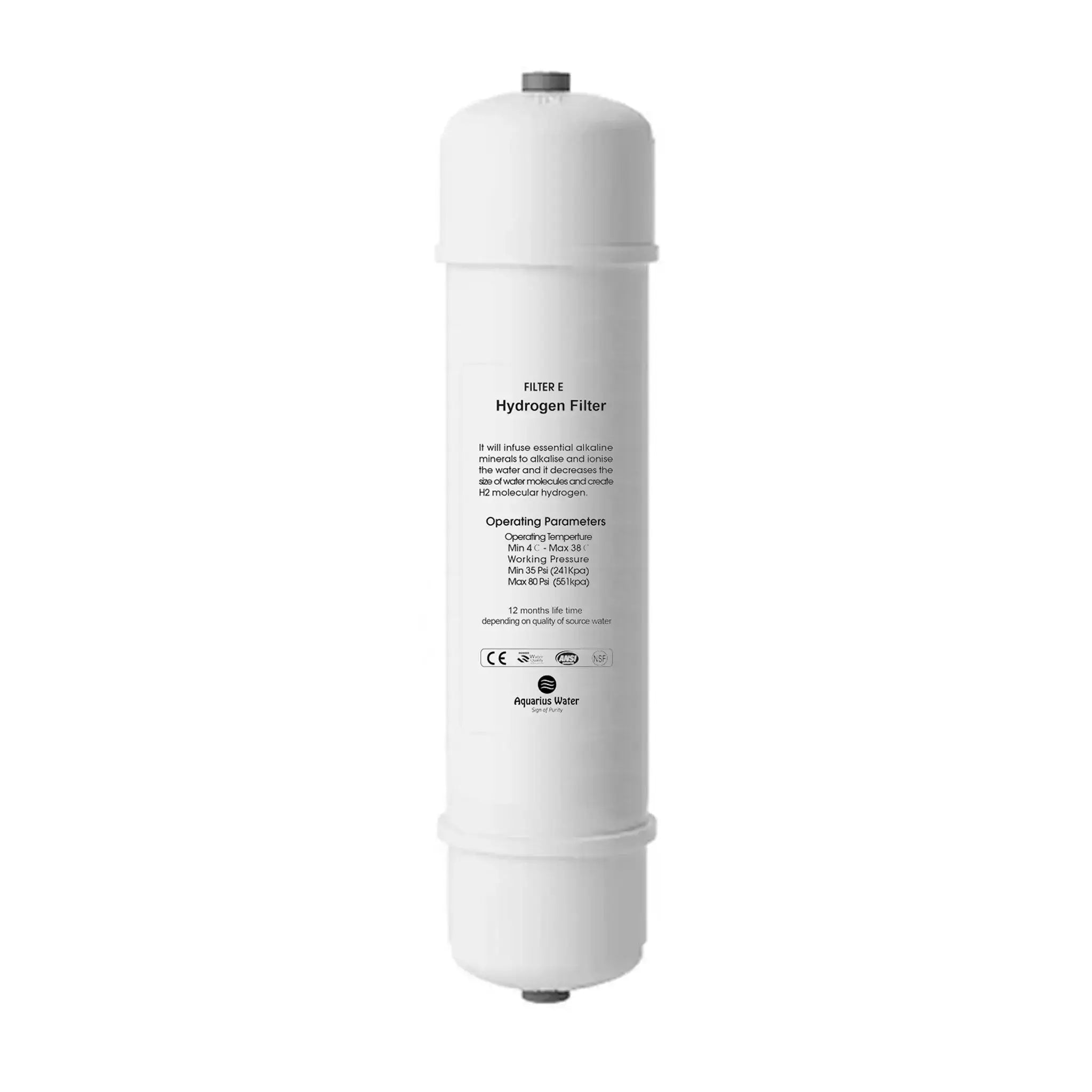 Filter E Aquarius System Replacement Filter - Alkaline World
