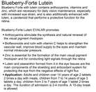 Blueberry Forte with Lutein Evalar 100 Tabs - Alkaline World