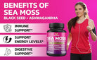 Sea Moss 6000mg Black Seed 4000mg Shilajit 2000mg Ashwagandha 2000mg - 100 Capsules - Alkaline World