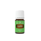 Cilantro Essential Oil 5ml - Alkaline World