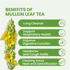 Healing Concepts Orgnanic Mullein Tea 40g - Alkaline World