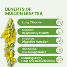 Healing Concepts Orgnanic Mullein Tea 40g - Alkaline World