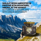 Natural 100% Siberian Shilajit Altai Pure Resin 100g - Alkaline World