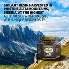 Natural 100% Siberian Shilajit Altai Pure Resin 100g - Alkaline World