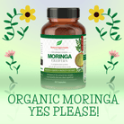 Natural Superfoods Organic Moringa 60 Caps - Alkaline World