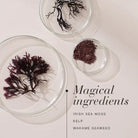 New Nordic Irish Sea Moss supplement in 30t container, showcasing the product packaging and branding.