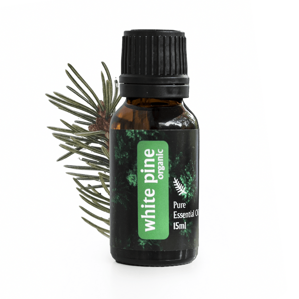Organic White Pine Essential Oil 15ml - Alkaline World