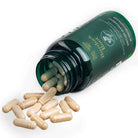 Siberian Green Siberian Wild Burdock Root Capsules, 1200mg, 90 softgel capsules, herbal supplement for detox and skin health