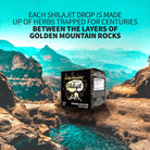 Siberian Green Pure Shilajit "Golden Mountains" 100g Resin - Alkaline World