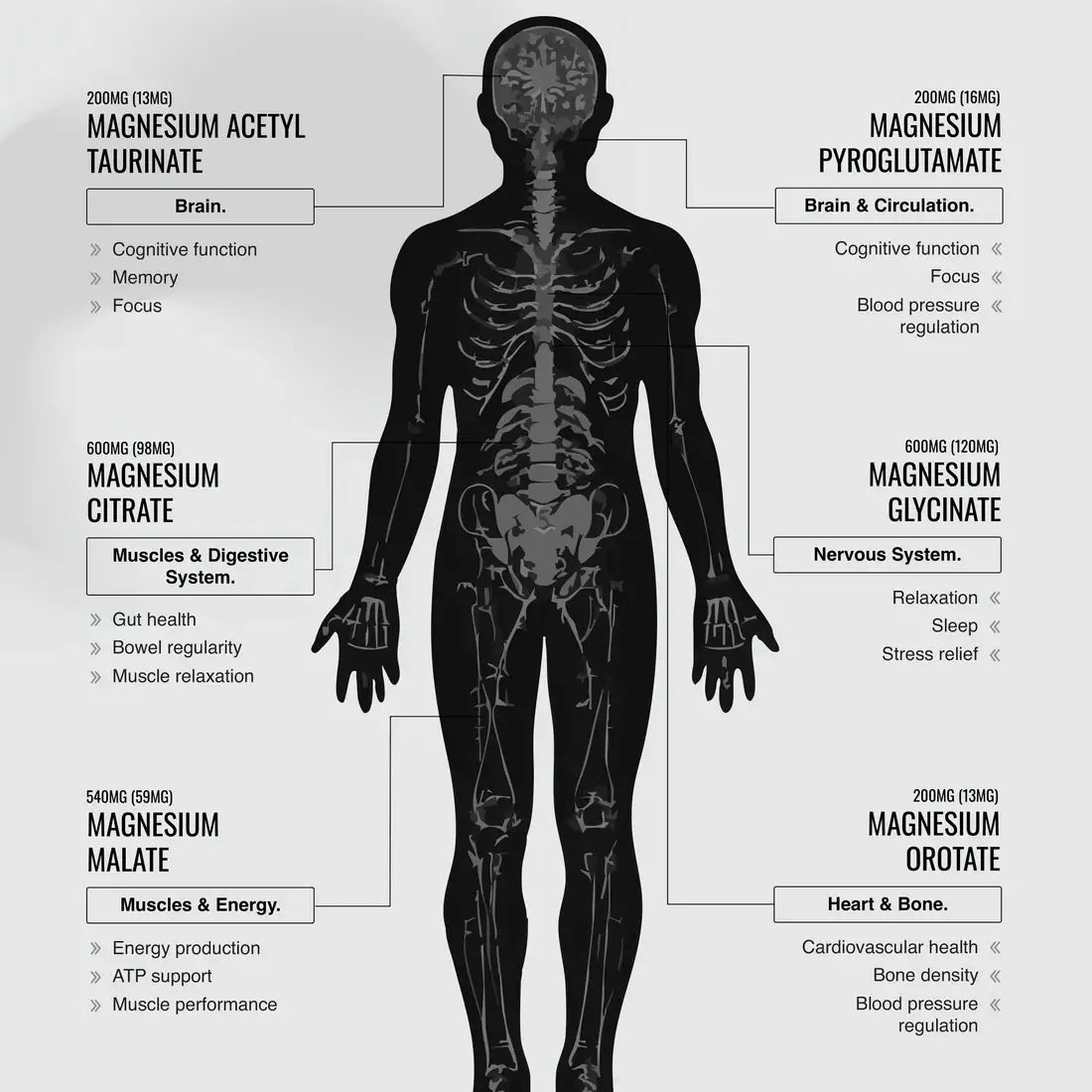 SWITCH NUTRITION Perform Multi-Mag Raspberry 150g - Alkaline World