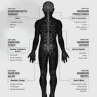 SWITCH NUTRITION Perform Multi-Mag Raspberry 150g - Alkaline World