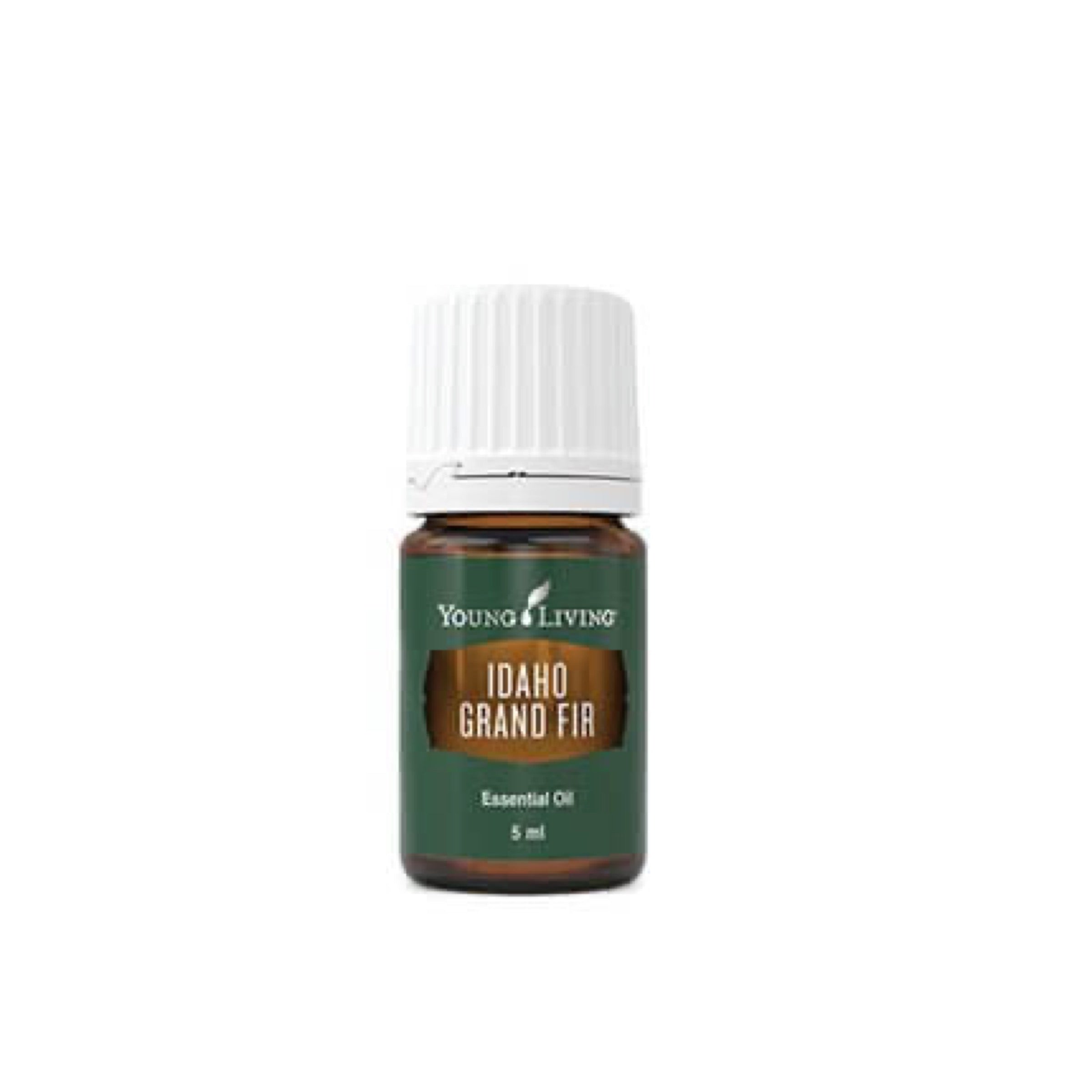 Young Living Idaho Grand Fir Essential Oil 5ml